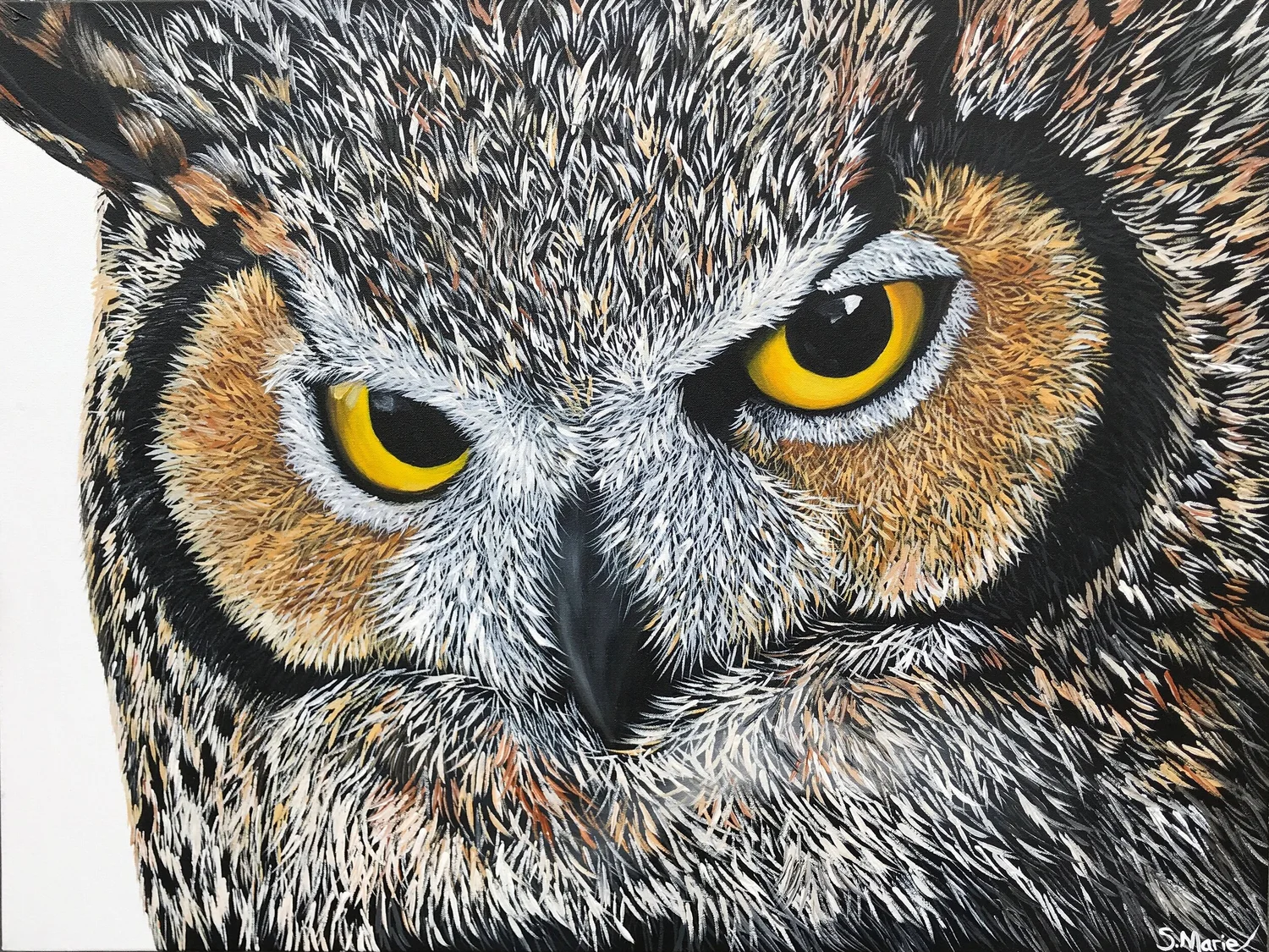 Neighborhood Watch by Paula Nahmod